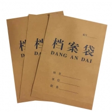 档案袋